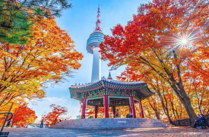 korea-tour